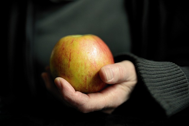 Fra kød til korn: Hvad betyder glutenfri for hundens kost?